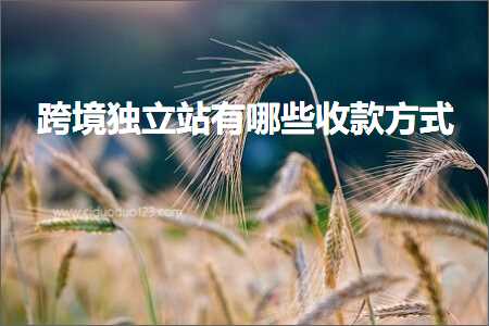 网站推广办法 跨境电商知识:跨境独立站有哪些收款方式